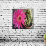 Quadro Botânico Cactus c/ Flor Rosa em Tecido Canvas para Sala Hall Área Externa, 53X53cm, Quadro Emoldurado na cor Preto
