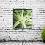 Quadro Botânico Planta Babosa em Tecido Canvas para Área Externas Sala Hall 53X53cm, Quadro Emoldurado na cor Preto