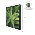 Quadro Botânico Planta Babosa em Tecido Canvas para Área Externas Sala Hall 53X53cm, Quadro Emoldurado na cor Preto