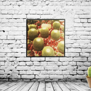 Quadro Cacto Grusoni do méxico em Tecido Canvas para Área Externas Sala Hall 53X53cm, Quadro Emoldurado na cor Preto