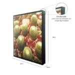 Quadro Cacto Grusoni do méxico em Tecido Canvas para Área Externas Sala Hall 53X53cm, Quadro Emoldurado na cor Preto