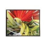 Conjunto de Quadros Botânicos Folhagem, Flor de Espinhos e Physocarpus em Tecido Canvas para Sala Quarto Hall Escritório, 53X43cm, Quadro Emoldurado, Moldura na Cor Tabaco