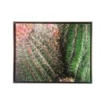 Conjunto de Quadros Botânicos em Tecido Canvas para Sala Quarto Hall Escritório, 53X43cm, Quadro Emoldurado, Moldura na Cor Tabaco